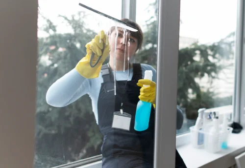 Nettoyage de vitres intérieures et extérieures à Vieure